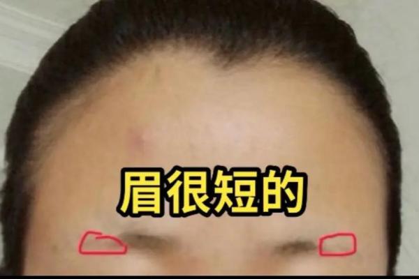 眉毛乱代表什么 眉毛有点乱,说明什么性格