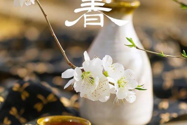 今年2月4日立春具体是几点几分，有哪些传统习俗和养生建议？