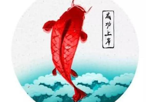 男生微信求锦鲤是什么意思 男生微信求锦鲤是什么意思呢