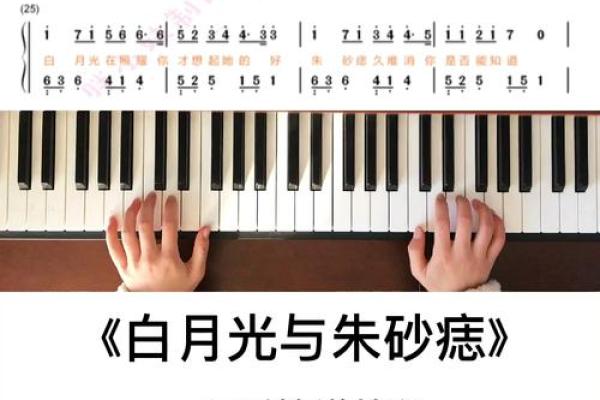 白月光与朱砂痣简谱 白月光与朱砂痣简谱双手