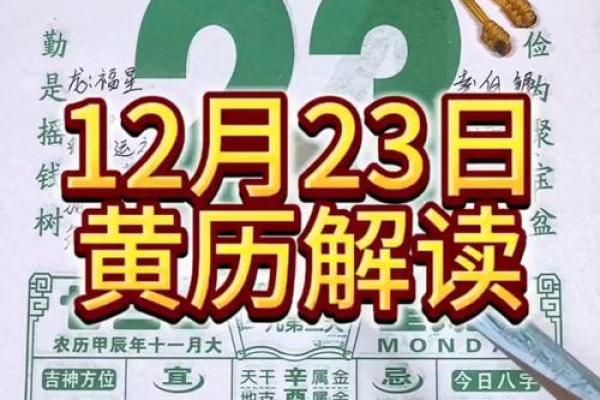 2003年12月出生的今年几岁 200712月12日出生今年几岁 2003年12月出生的今年几岁 200712月12日出生今年几岁