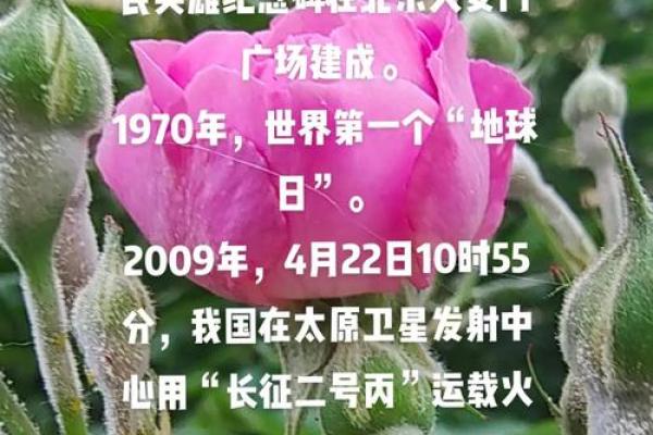 11月12日有哪些重要的历史事件或纪念日值得关注？