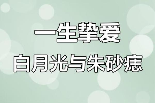 朱砂痣和白月光指什么 朱砂痣和白月光到底是什么意思