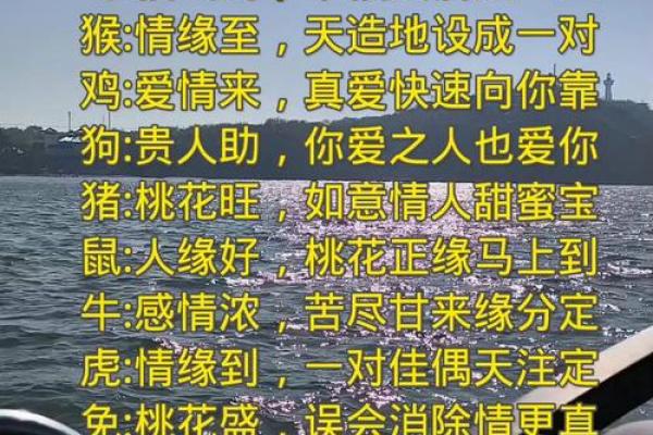生日缘分测试(生日测试爱情缘分测试)