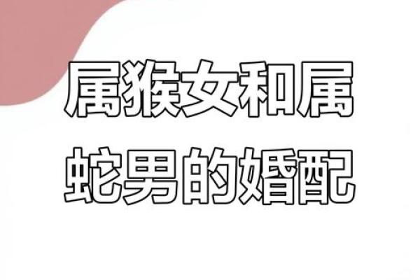 92猴女和96鼠男好不好(92猴女和96鼠男结婚好不好)