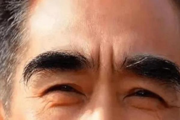 眉毛重的人有什么说法 男人十大富贵眉毛图片