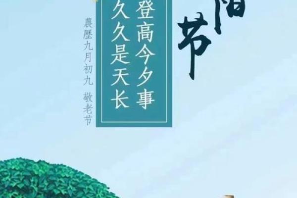 九月九日重阳节背后的故事：我们究竟在纪念谁？有哪些重要活动？