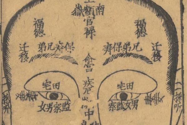 麻衣相法大全(麻衣相法大全白话文)