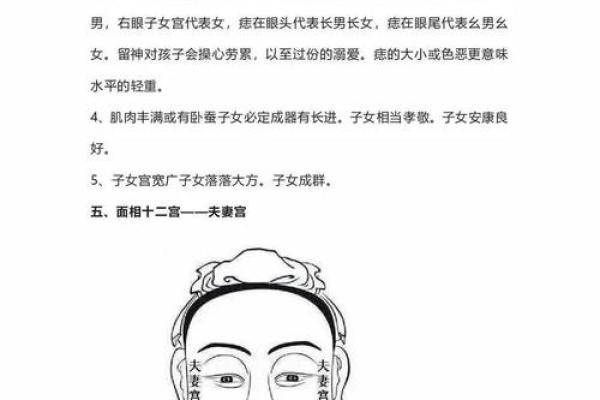 麻衣相法大全(麻衣相法大全白话文)