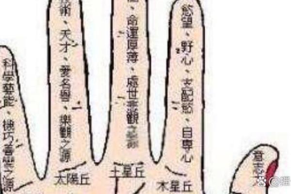 食指和无名指谁更长 食指和无名指谁更长一点呢