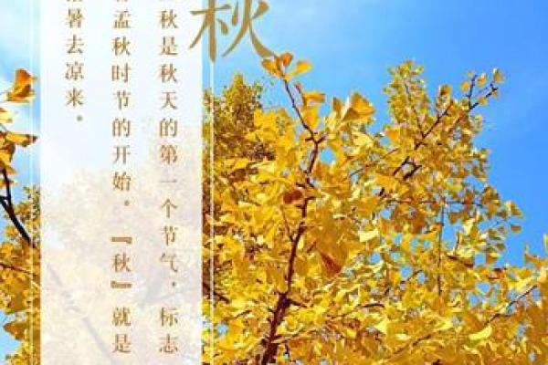 2022年立秋是哪天(2022年立秋是哪天呀)