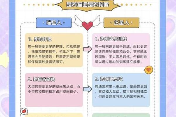 喵星人与汪星人 喵星人汪星人还有什么星人