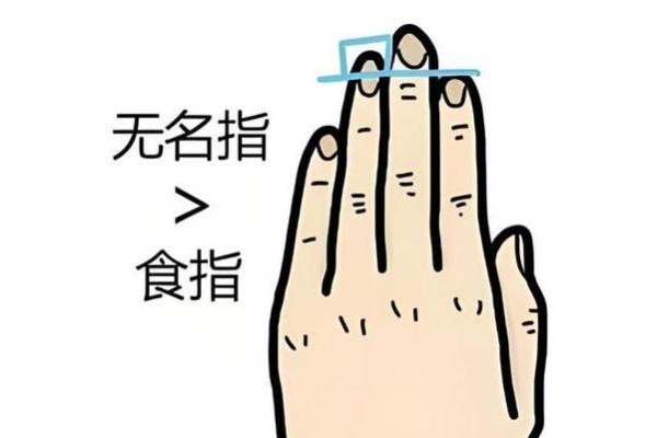 无名指高过食指是代表什么 无名指大于食指事业成功