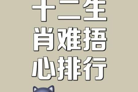 ‌一无所有打一生肖 → 鼠‌（鼠洞空空，家徒四壁）