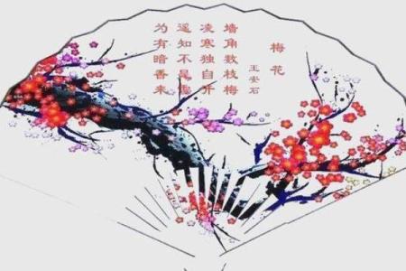 墙角梅花打一生肖(墙角梅花打一生肖是什么)