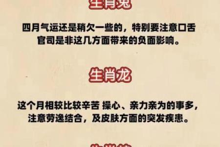 哪个生肖属相最能够代表荣华富贵的人生运势和命运？