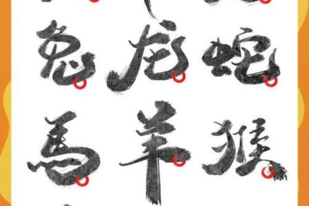 自以为计打一准确生肖 自以为计打一最佳生肖
