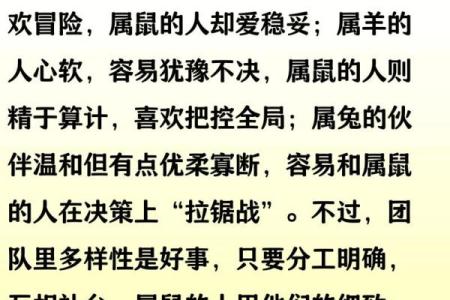 老鼠和属马的合不合 老鼠和属马的生肖相合吗