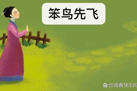夯雀先飞是什么生肖(夯雀先飞是什么生肖动物)