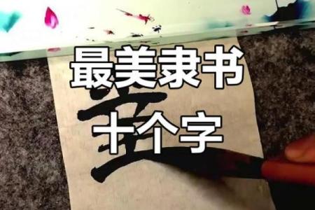 首当其冲打一个生肖(首当其冲打一个生肖出来)