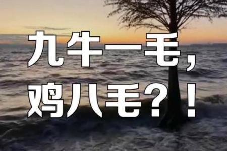 九牛一毛打一正确生肖 九牛一毛打一动物正确答案
