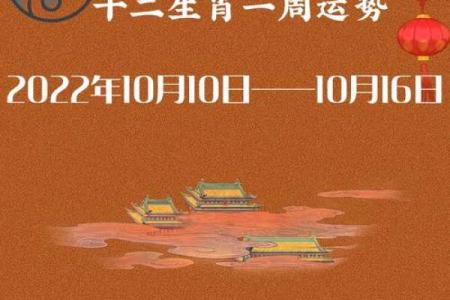 请问恶贯满盈打一生肖的谜底是什么？有没有详细的解释说明？