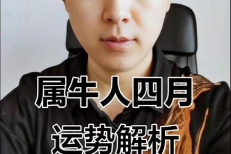 劳苦功高是什么生肖(劳苦功高是什么生肖打一肖)