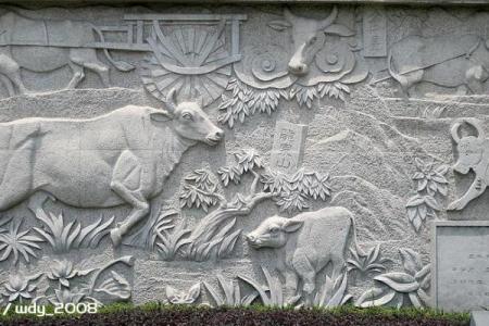 万古长青打一生肖的谜底解析，哪个生肖象征永恒？