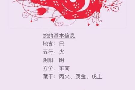 想了解小打小闹所对应的生肖，有没有详细的解释和由来？