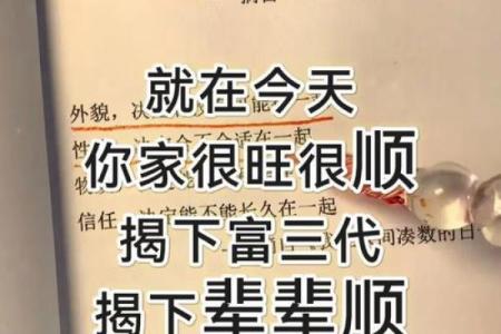 傍门依户意思(傍门依户意思打一生肖)