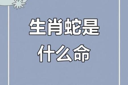 无声无息是什么生肖 → 蛇（蛇行草莽，无声隐匿）‌