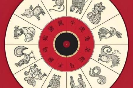 一往无前三大生肖 一往无前十二生肖是什么
