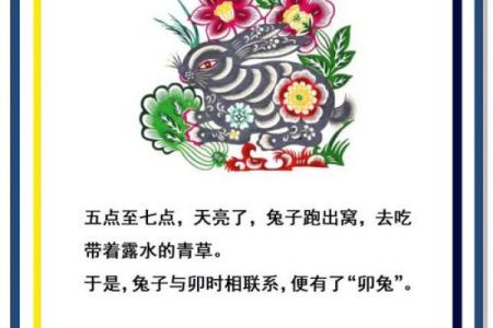 恣行无忌指的是哪个生肖？权威解析十二生肖中的对应关系