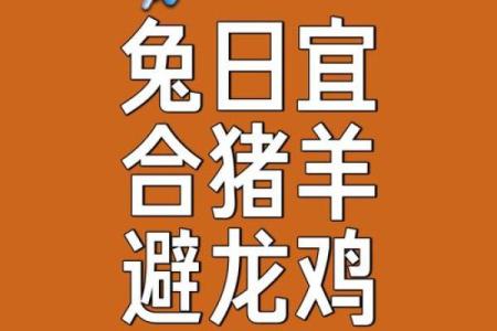 ‌喜气洋洋打一生肖 → 羊‌（三羊开泰，喜气盈门）