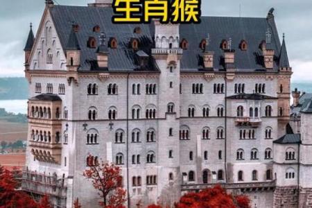 ‌人生无常（无常）打一生肖：‌ 猴