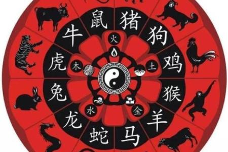 运转乾坤化吉祥着句成语在十二生肖中代表什么含义