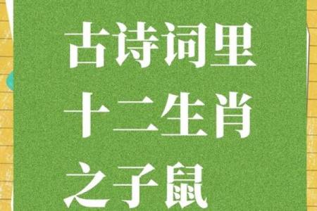 口若悬河打一生肖的谜底解析，十二生肖中谁最擅长言辞表达？