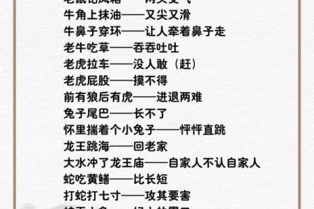大打出手是什么生肖 大打出手护其身是什么生肖