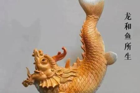 ‌太公钓鱼是什么生肖 → 龙（龙钓文王，愿者上钩）‌