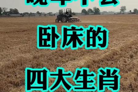晚年没病没灾的3生肖