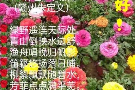 ‌一树一春满山绿打一生肖：‌ 牛 (象征耕耘)
