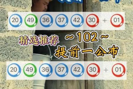 为虎作伥是指什么生肖(为虎作伥是指什么生肖动物)