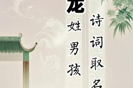 ‌扬名后世打一生肖 → 龙‌（龙名千古，万世流芳）