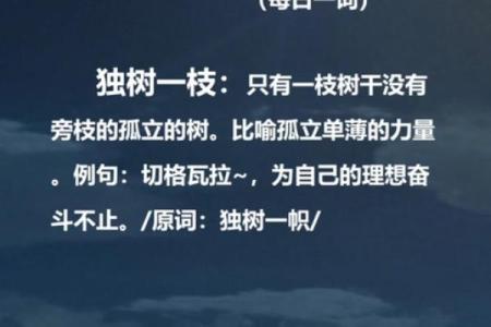 雁过留声打一生肖