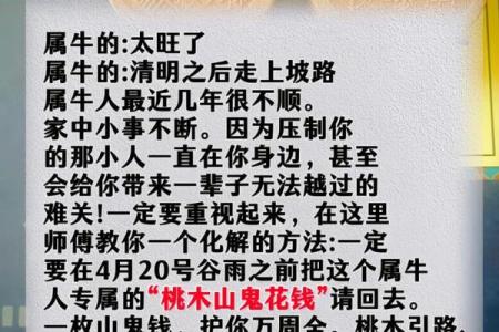 牛不能和什么生肖在一起 牛不能跟什么生肖在一起