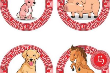 抓耳挠腮的动物打一正确生肖