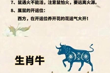 指点江山打一生肖正确答案，着个成语指的是什么动物生肖
