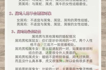 鸡女和马女的属相合不合 生肖鸡女与生肖马男相配吗