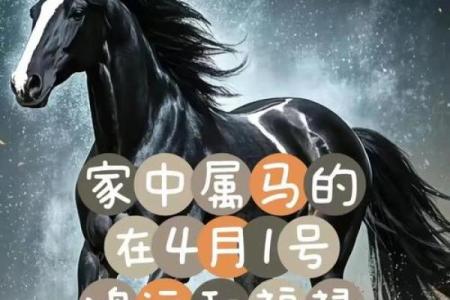 ‌七尺男儿打一最佳生肖 → 马‌（马高七尺，气概昂藏）