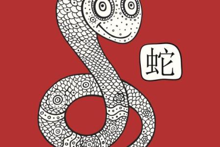 哪个生肖被普遍认为是疯疯癫癫的代表？其深层文化原因解析